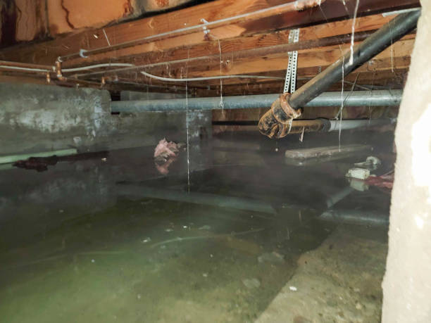  Sundown, TX Water damage restoration Pros