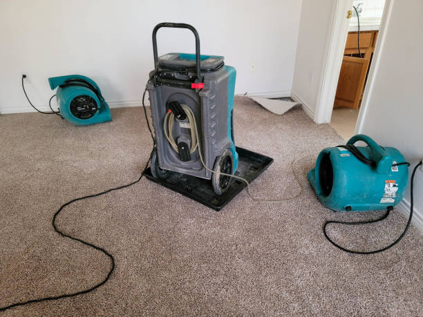 Best 24/7 water damage repair  in Sundown, TX