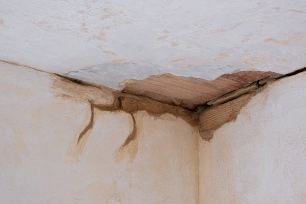 Best 24-hour water damage restoration  in Sundown, TX