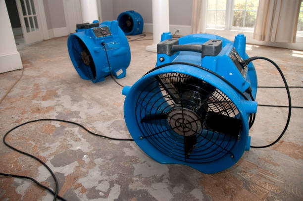 Best Flood restoration services  in Sundown, TX