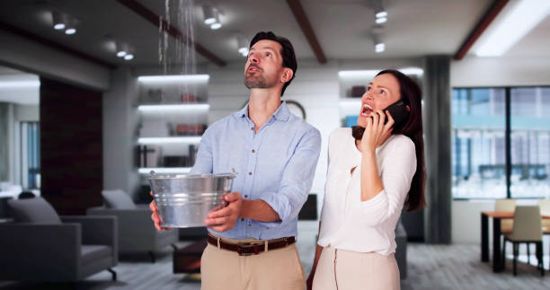 Best Basement water damage restoration  in Sundown, TX