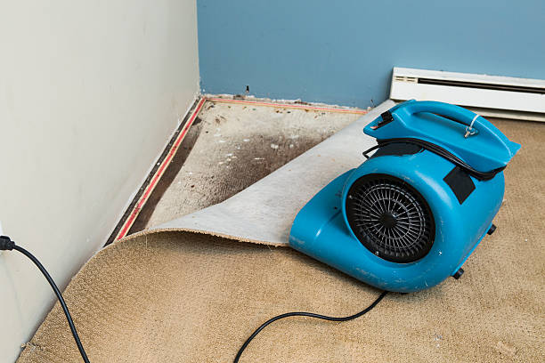 24/7 water damage repair in Sundown, TX
